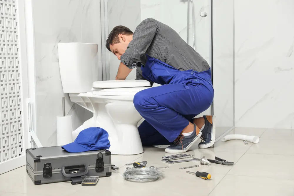 Toilet Installation in Cheswold